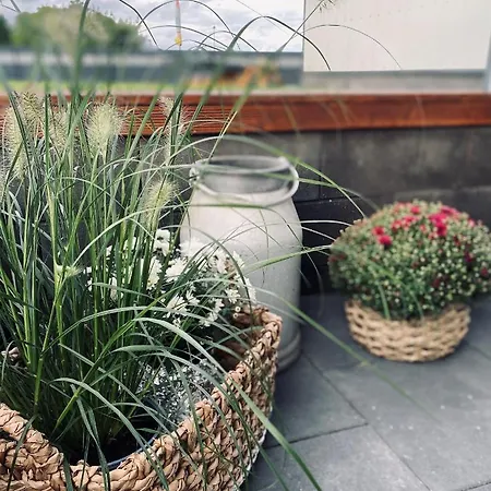 Apartament Eifeel Like *