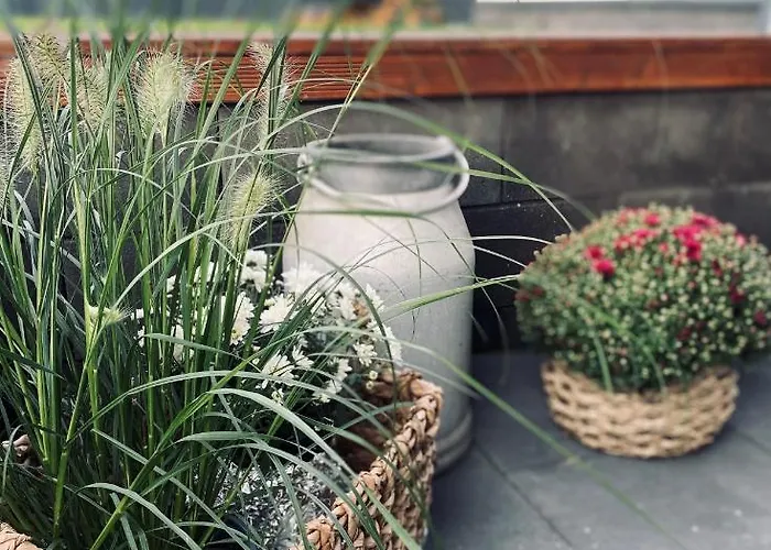 דירה Eifeel Like *